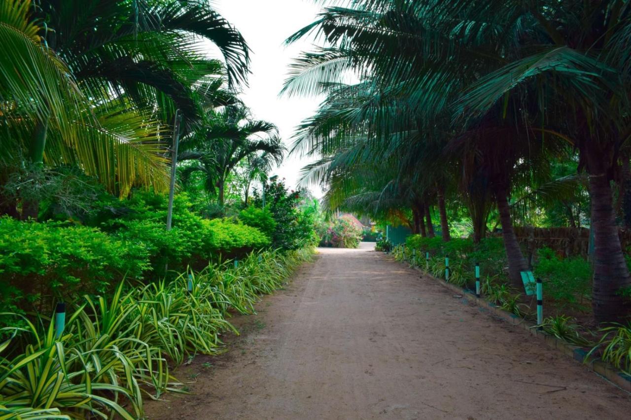 Mithra Paradise Beach Hotel Nilaveli Exterior photo